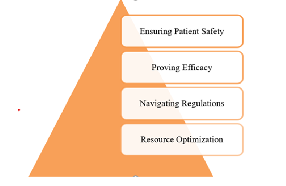 Understanding the Clinical Development Plan
