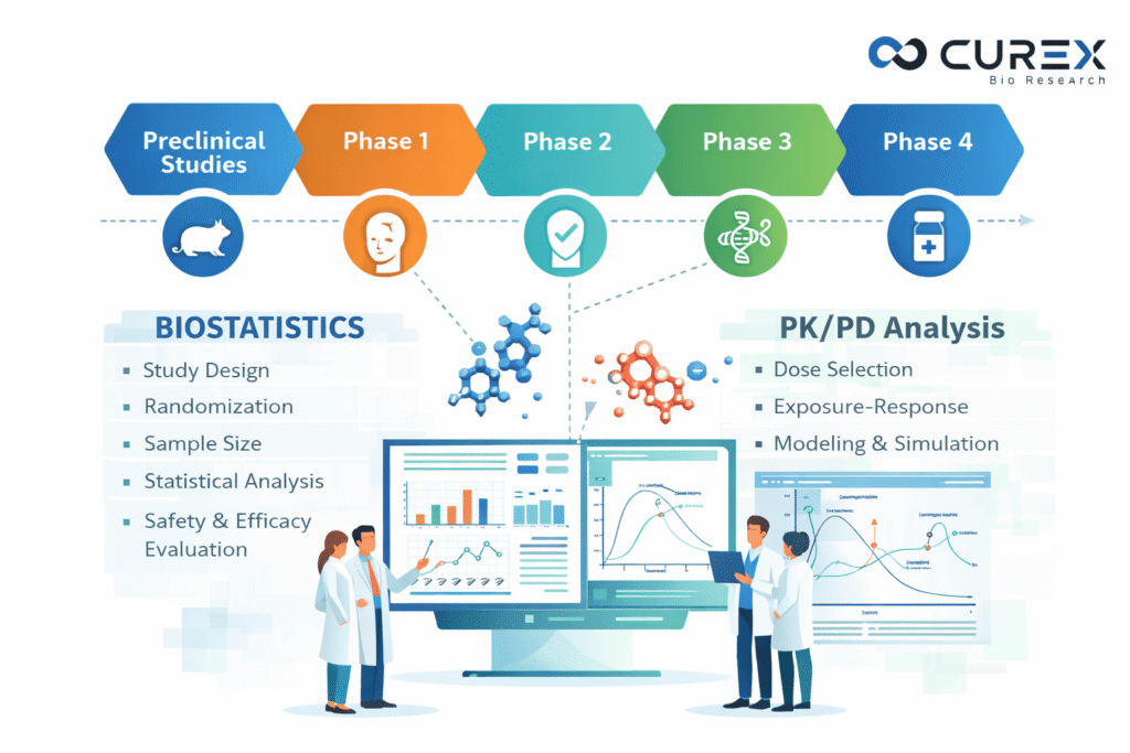 Biostatistics services by curexbio
