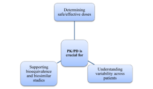 Classic PK/PD curves illustrate these relationships