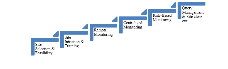 Clinical Monitoring Services