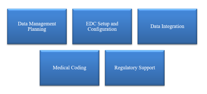Clinical Data Management services