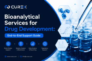 Bioanalytical Services for Drug Development End-to-End Support Guide