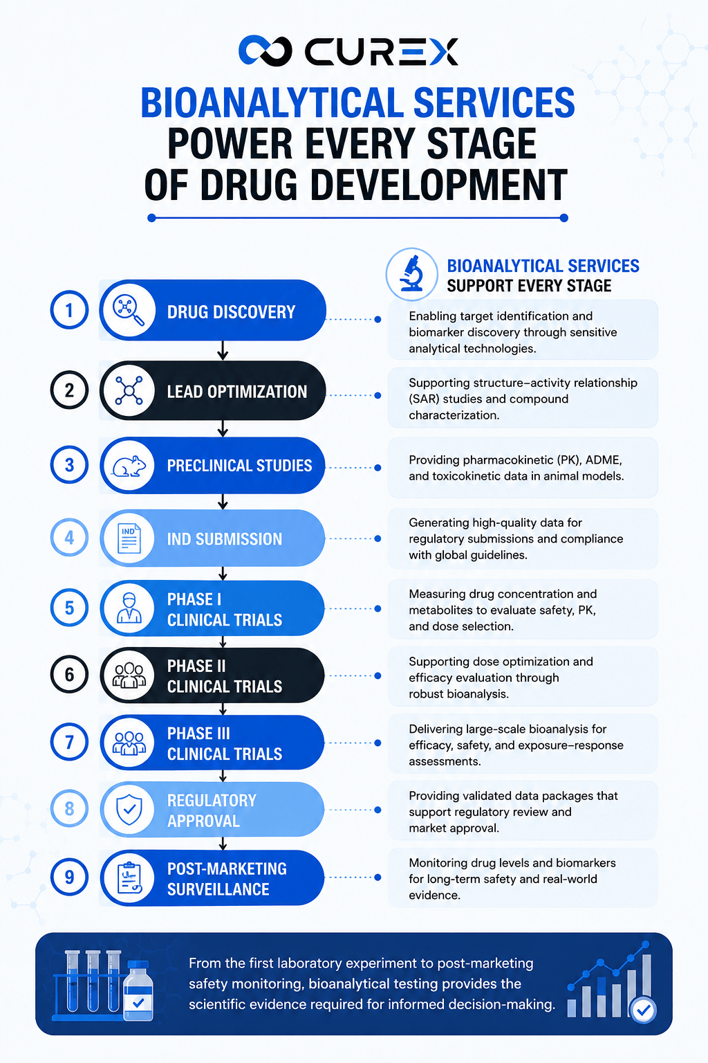 Where Bioanalytical Services Fit in Drug Development