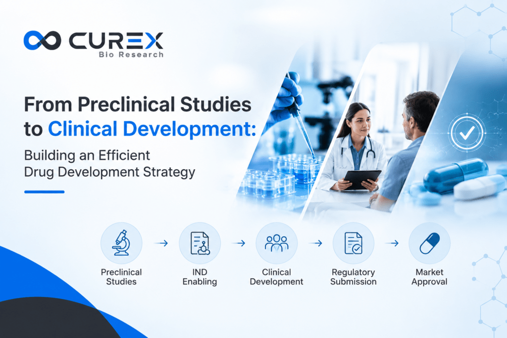 From Preclinical Studies to Clinical Development Building an Efficient Drug Development Strategy