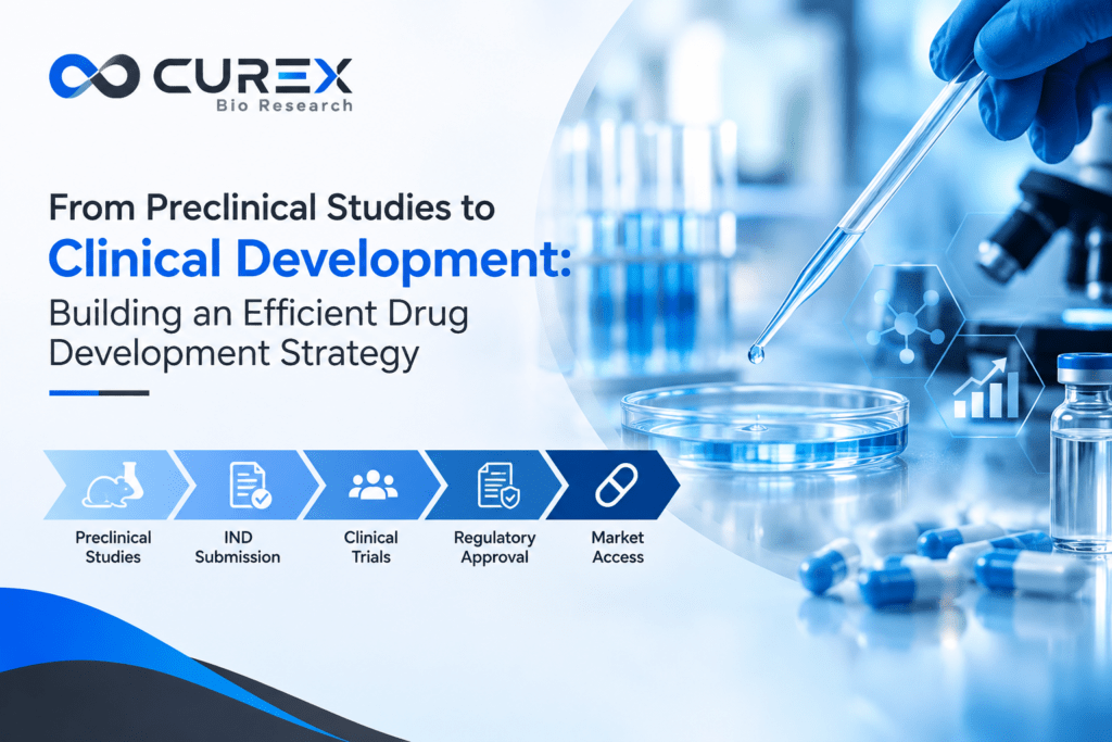 From Preclinical Studies to Clinical Development Building an Efficient Drug Development Strategy