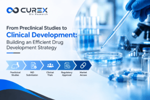 From Preclinical Studies to Clinical Development Building an Efficient Drug Development Strategy